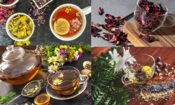 Best Herbal Tea Hangi Faydaları Sunar?